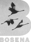Bosena logo